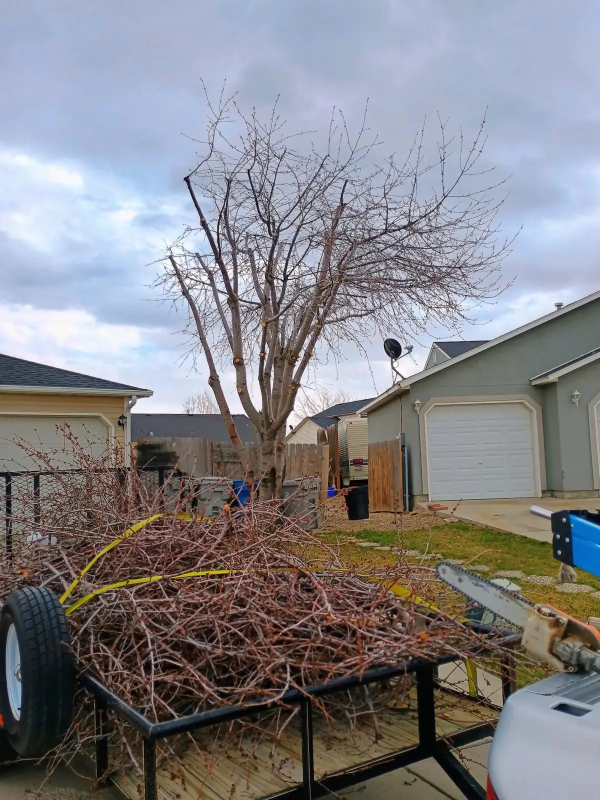A trailer piled high with cut branches in a driveway