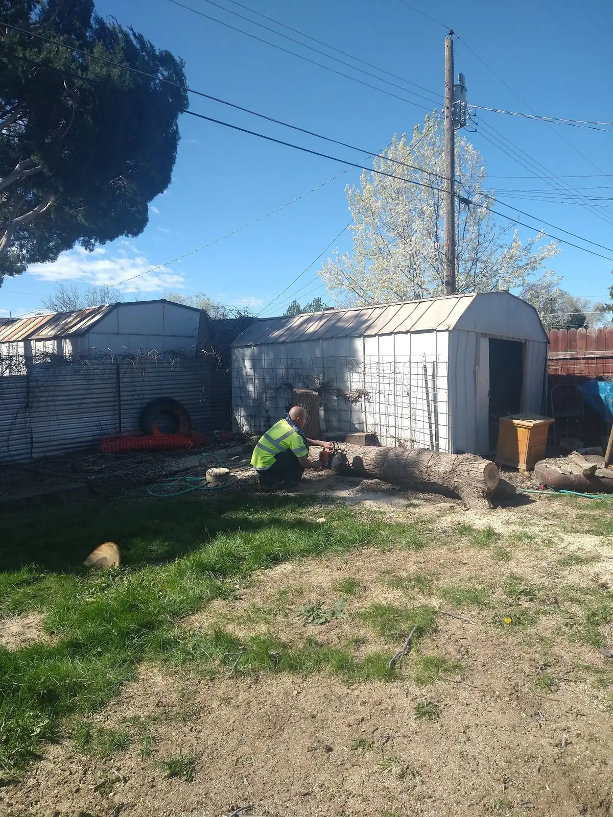 A worker in a green vest cutting a felled trunk into rounds in a backyard