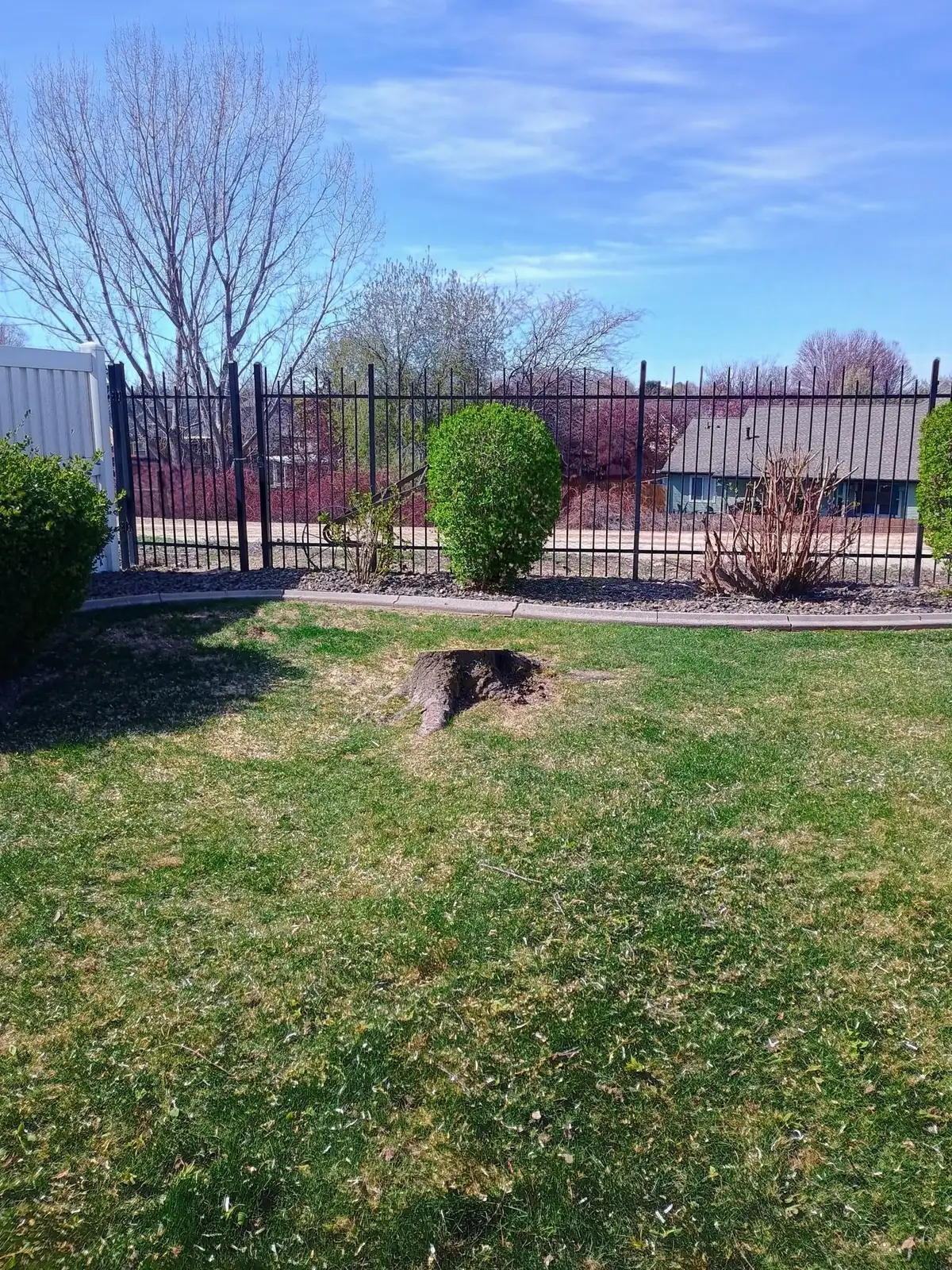 A tree stump cut low in a mowed lawn by a black iron fence